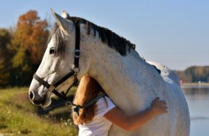 best-odds-for-horse-racing-betting-austr-640x480-29926856.jpeg