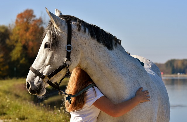 best-odds-for-horse-racing-betting-austr-640x480-29926856.jpeg