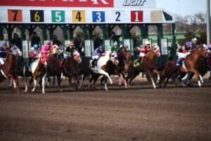 best-odds-for-horse-racing-betting-austr-640x480-95531851.jpeg