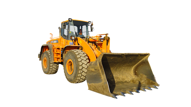 Multi-sport betting sites Australia