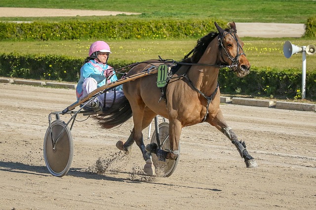 Online horse racing betting Australia