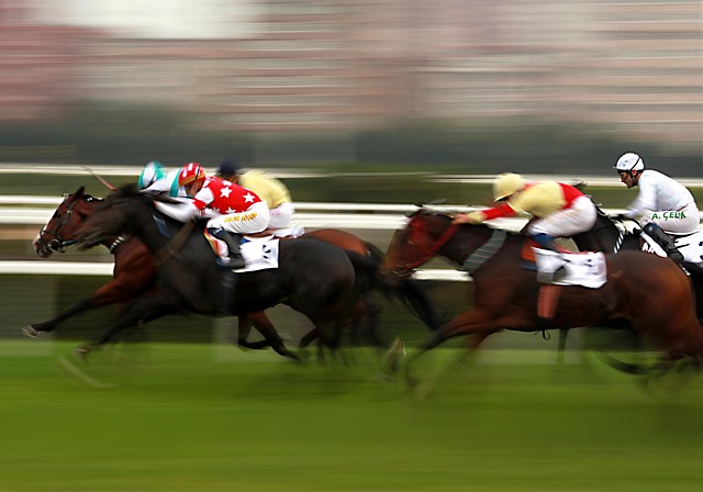 Online horse racing betting Australia