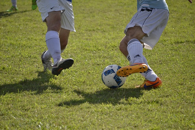 Top sports betting platforms for Australian players