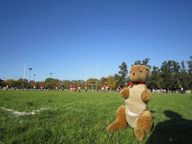 Trusted Australian betting platforms for rugby
