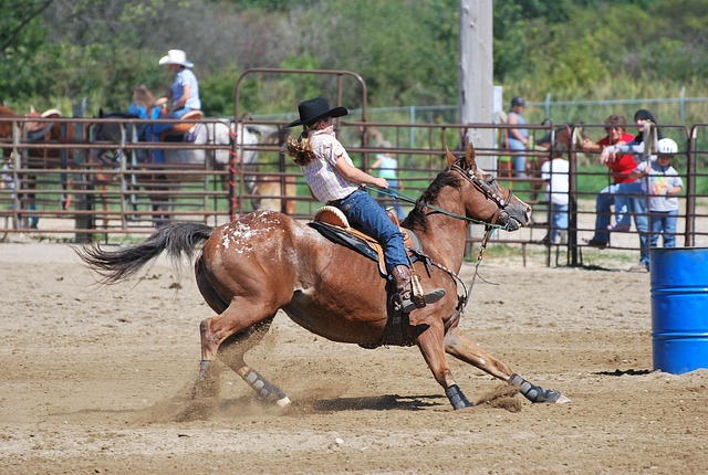Trusted horse racing betting sites Australia