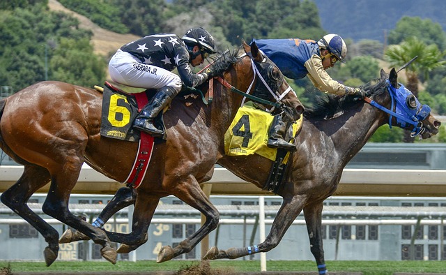 Best odds for horse racing betting Australia