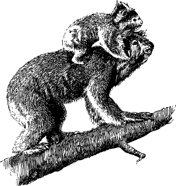 exclusive-promotions-for-australian-spor-640x480-34630657.png
