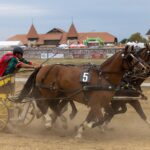 Maximize Wins: Fast Payouts in Australian High-Payout Horse Racing Betting