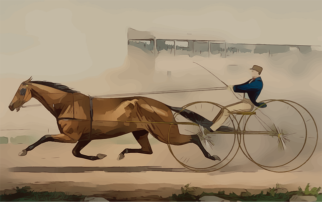 High payout horse racing betting Australia