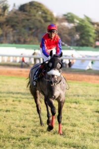 online-horse-racing-betting-australia-640x480-95982926.jpeg