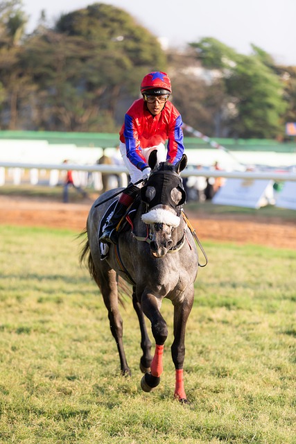 online-horse-racing-betting-australia-640x480-95982926.jpeg