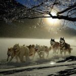 Secure Sports Betting Sites Australia: Navigating Cashout Options Responsibly