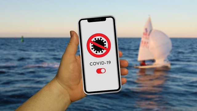 Top-rated mobile apps for live sports betting