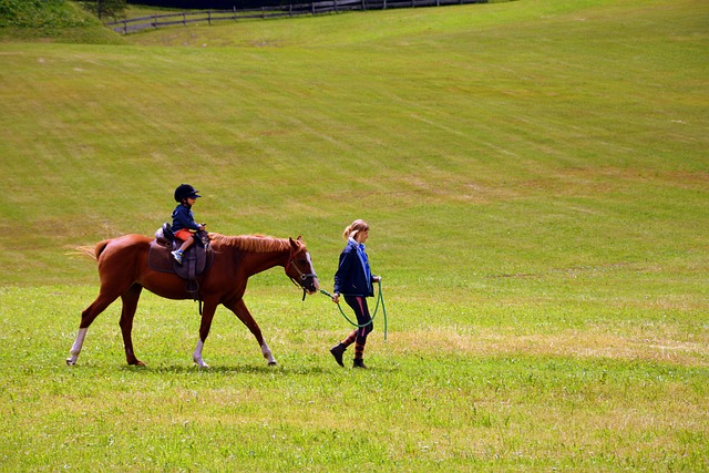 Trusted horse racing betting sites Australia
