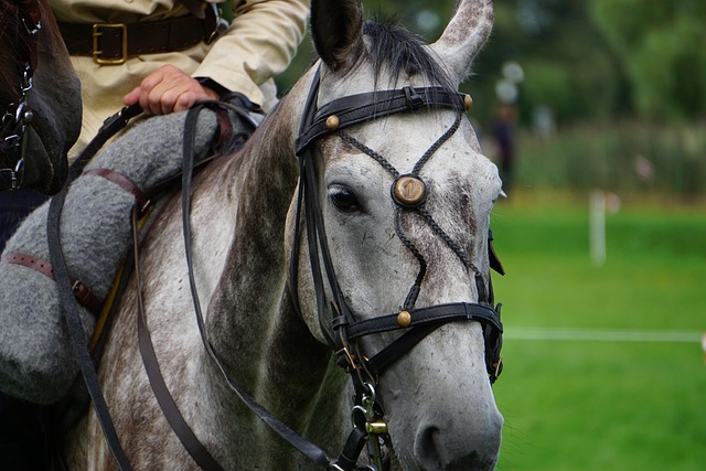 Trusted horse racing betting sites Australia