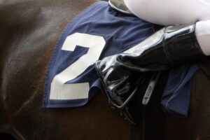 trusted-horse-racing-betting-sites-austr-640x480-83758829.jpeg