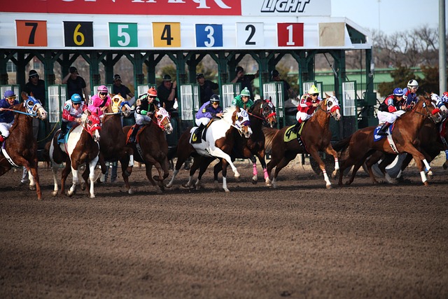 Trusted horse racing betting sites Australia