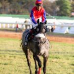 Maximize Wins: Best Odds for Australian Horse Racing Bets