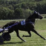 Maximize Wins: Free Bets for Australia’s Horse Racing Fans