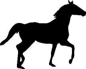 best-odds-for-horse-racing-betting-austr-640x480-51314745.png