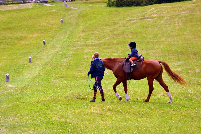 Best odds for horse racing betting Australia