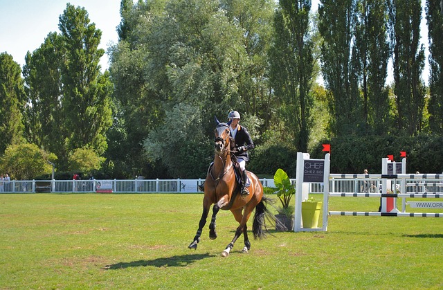 Best odds for horse racing betting Australia
