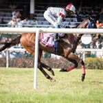 Streamline Your Bets: Australia’s Fast Horse Racing Odds Verification