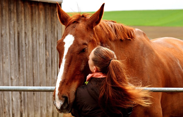 best-odds-for-horse-racing-betting-austr-640x480-85047282.jpeg