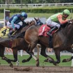 Uncover Top Australian Sports Betting Apps for Optimal Value