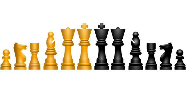 Betting strategies for Aussie sports fans