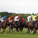 Unleash Big Wins: High Payout Horse Racing in Australia