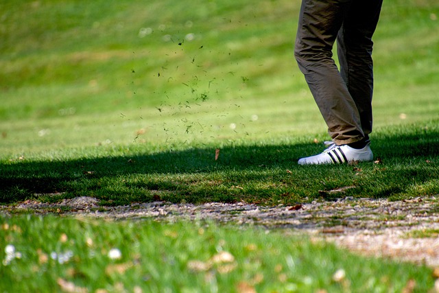 Popular sports betting games for Australians