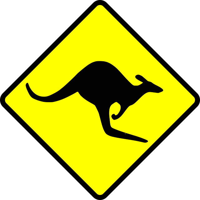 real-time-betting-for-aussie-sports-640x480-18635743.png