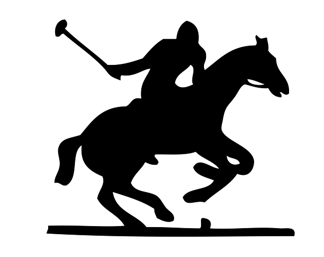 Top sports betting platforms for Australian players