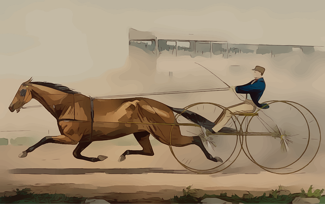 trusted-horse-racing-betting-sites-austr-640x480-24472613.png