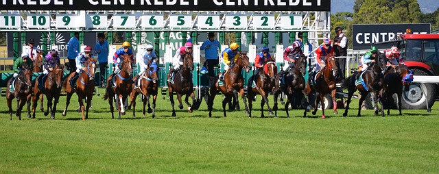 Trusted horse racing betting sites Australia