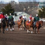 Trusted Aussie Horse Racing Apps for Safe Betting & Smart Wins