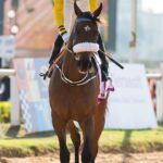 Low Minimum Bets: Trusted Aussie Horse Racing Sites for Casual Bettors