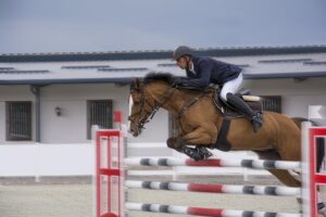 trusted-horse-racing-betting-sites-austr-640x480-85922171.jpeg