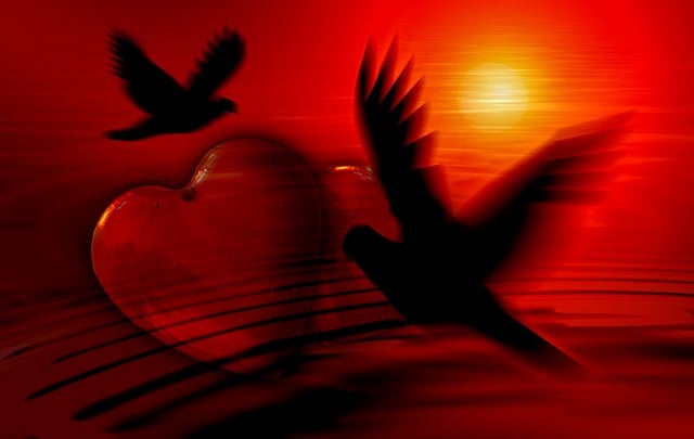 Australian casino loyalty programs