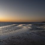 Unleash Big Wins: Top High Payout Pokies Australia