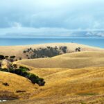 Uncover Top Australian Pokies for Big Wins