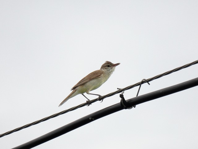 New online casinos for Australians