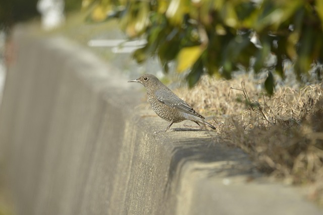 Aussie-friendly betting payment methods