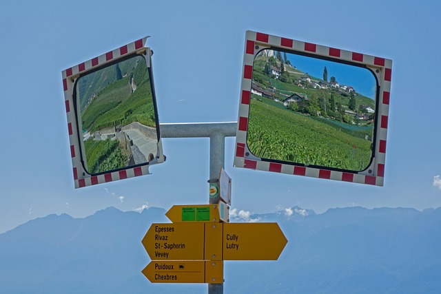 Aussie sports betting guides