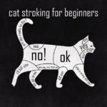 Unlock High RTP: Ultimate Aussie Sports Betting Guide