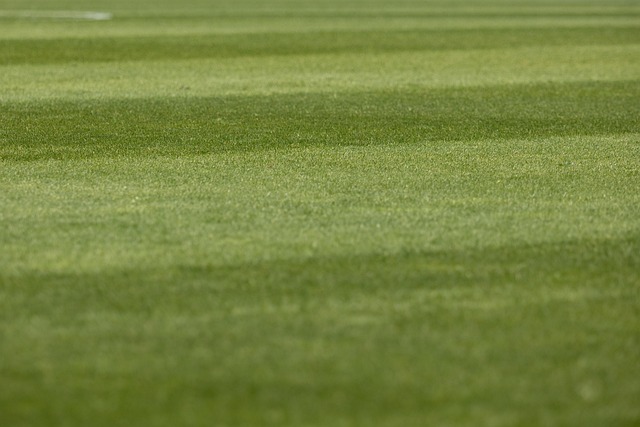 Australian football betting tips