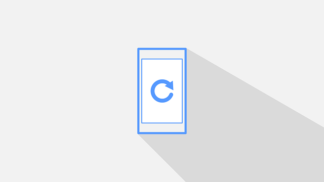 Best Aussie betting apps