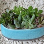 Secure Bonuses for Aussies: Navigating Legit Casino Offers