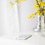 Unleash Australia’s Top Mobile Sports Betting Deals Now